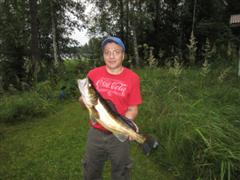 Uistelukisan voittaja 2012